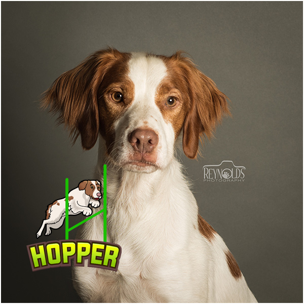 Photo of Hopper