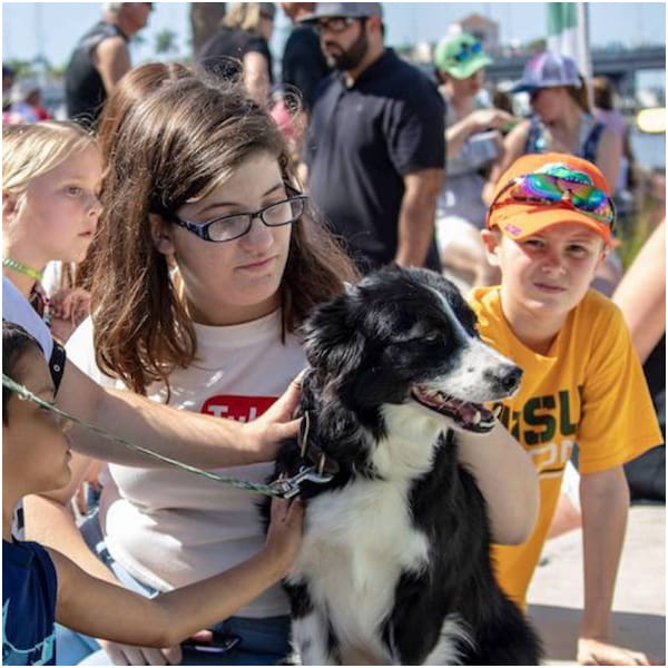 Stunt Dog Show Fair and Festival Entertainment by Team Zoom