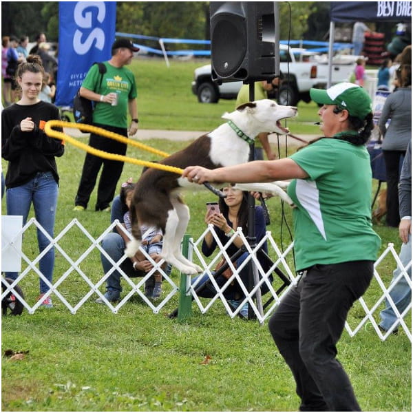 Family-Friendly Dog Performance from Team Zoom in Moraine, OH